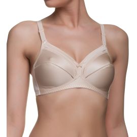 Triumph Claudette 200 Stretch N X, Kolor: cielisty, Rozmiar: 75B  sklep ebielizna.pl