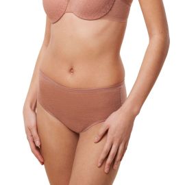 Majtki damskie Triumph Signature Sheer Maxi EX, Kolor: brązowy, Rozmiar: 38  sklep ebielizna.pl