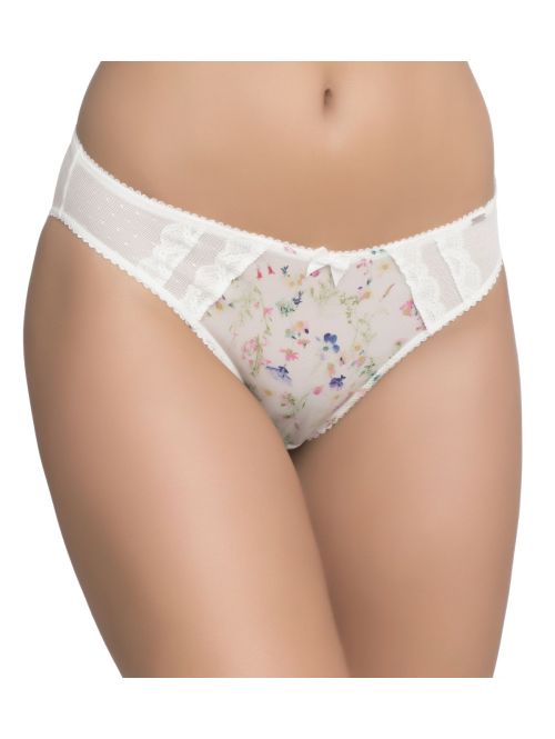 Dorina Alexa Brief