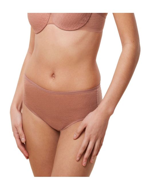 Majtki damskie Triumph Signature Sheer Maxi EX, Kolor: brązowy, Rozmiar: 38  sklep ebielizna.pl