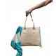 Triumph Beach Bag
