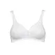Triumph Elegant Cotton N